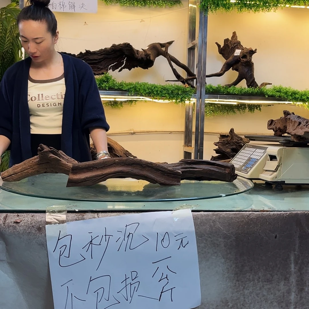 柚木O*沉木鱼缸造景