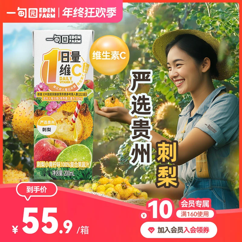 一甸园 地域限定贵州刺梨小青柠味100%复合果蔬汁200mL*10盒