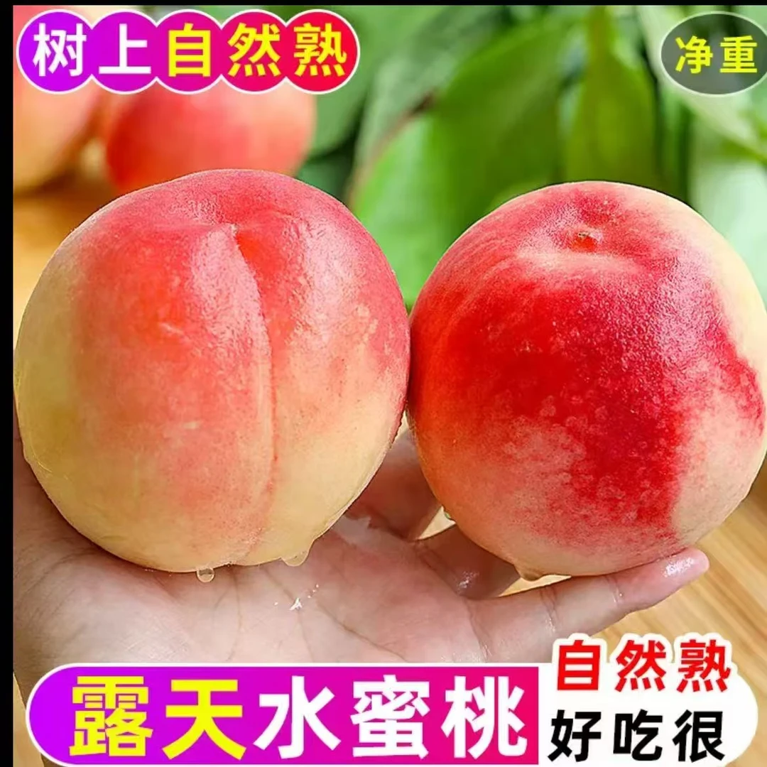 x22山西红不软水蜜桃新鲜现摘脆甜多汁当季应季水果软脆两吃孕妇