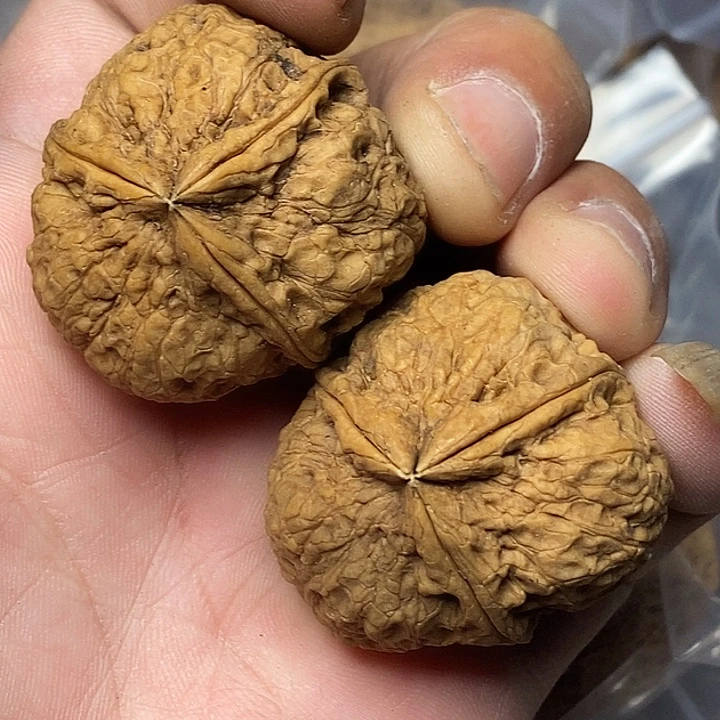 文玩核桃把件云南铁核桃17