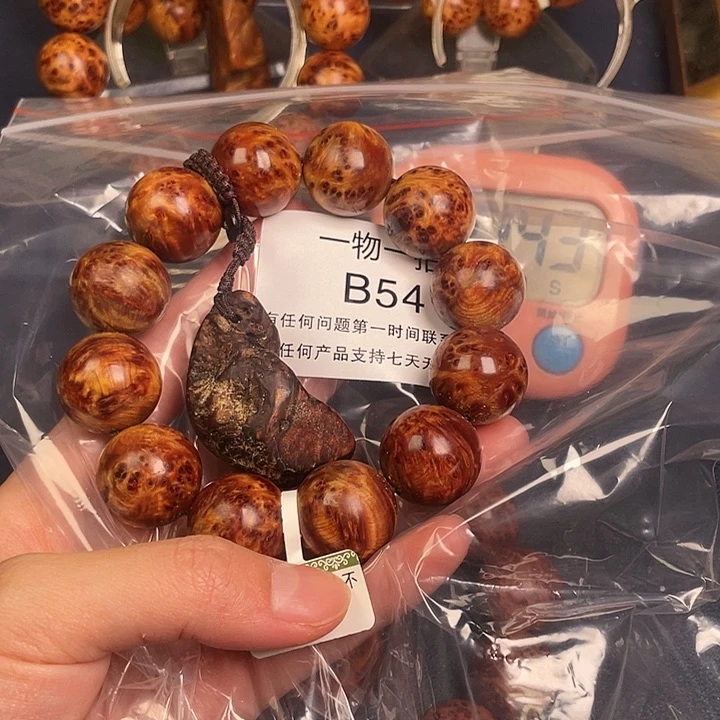 柏木（崖柏）其他原***龙54