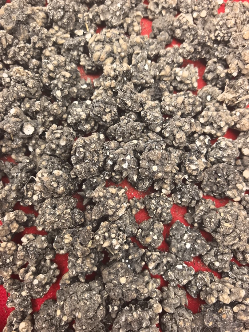 云南山货土特产 滋补猫抓草