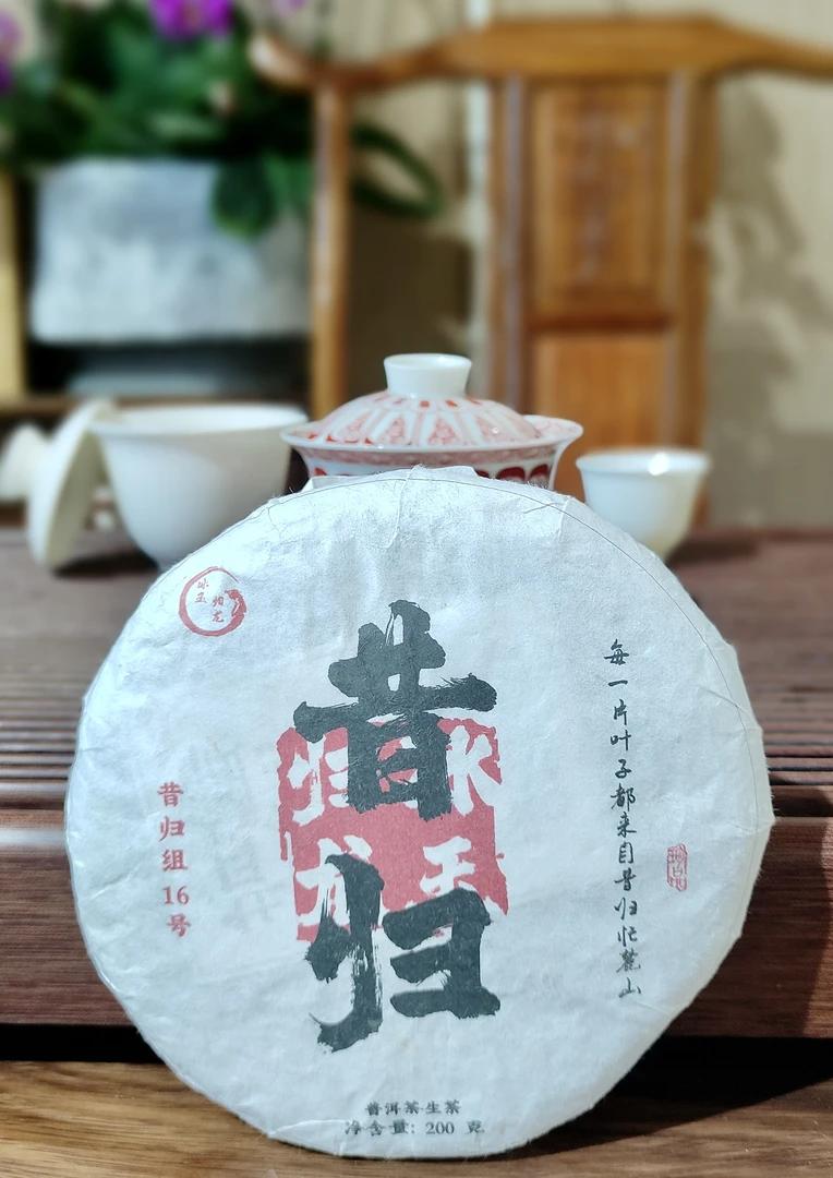 馥漪园春茶 2022年昔归忙麓山（昔归组16号）普洱生茶200克
