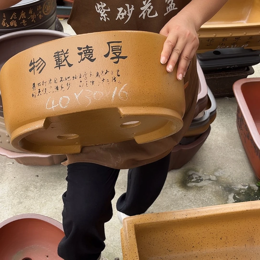 紫砂花盆盆景艺术