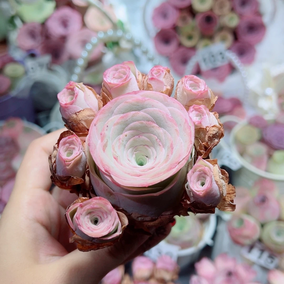 120酒杯粉玫瑰飘枝群。