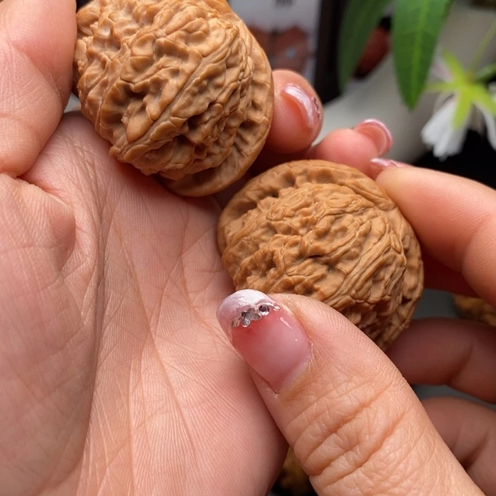 文玩核桃把件用****程白狮子