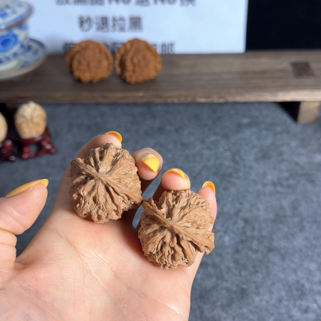 全品40苹果园山地果白茬三日红不退换