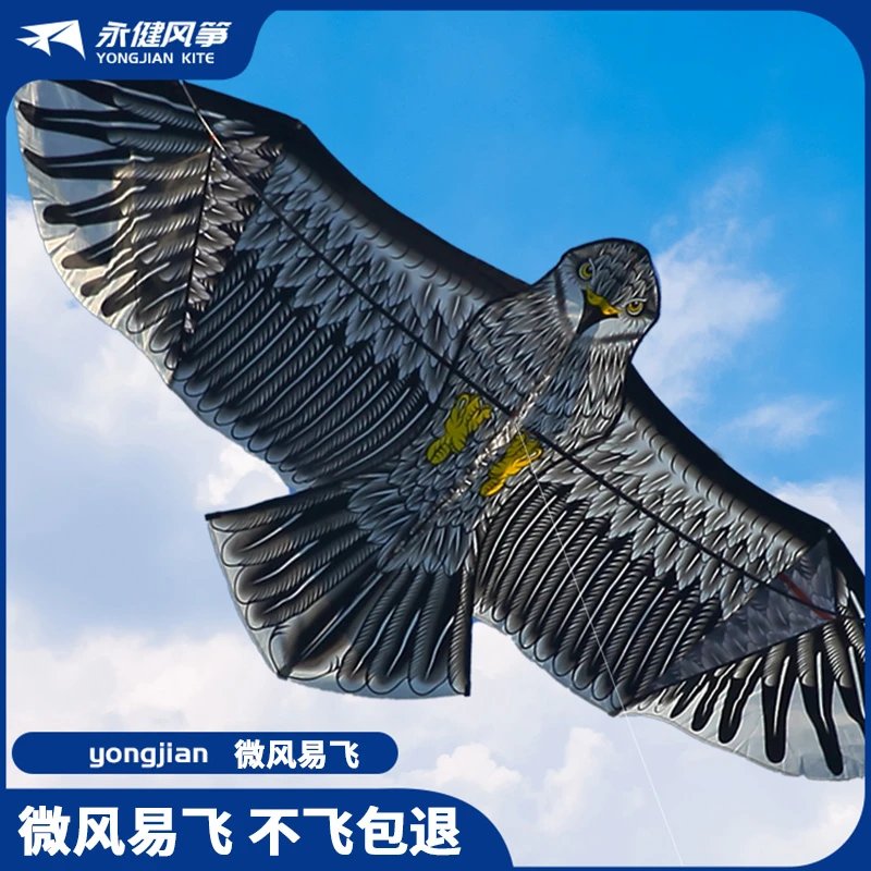 潍坊风筝永健风筝老鹰造型微风好飞仿真鹰稳定飞行