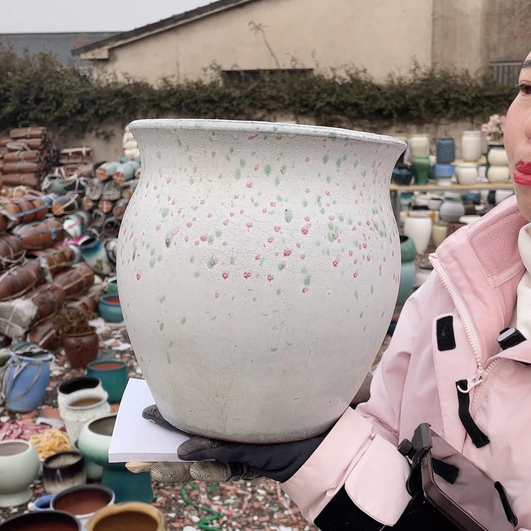 红陶王嫂花盆直播0226-五大花