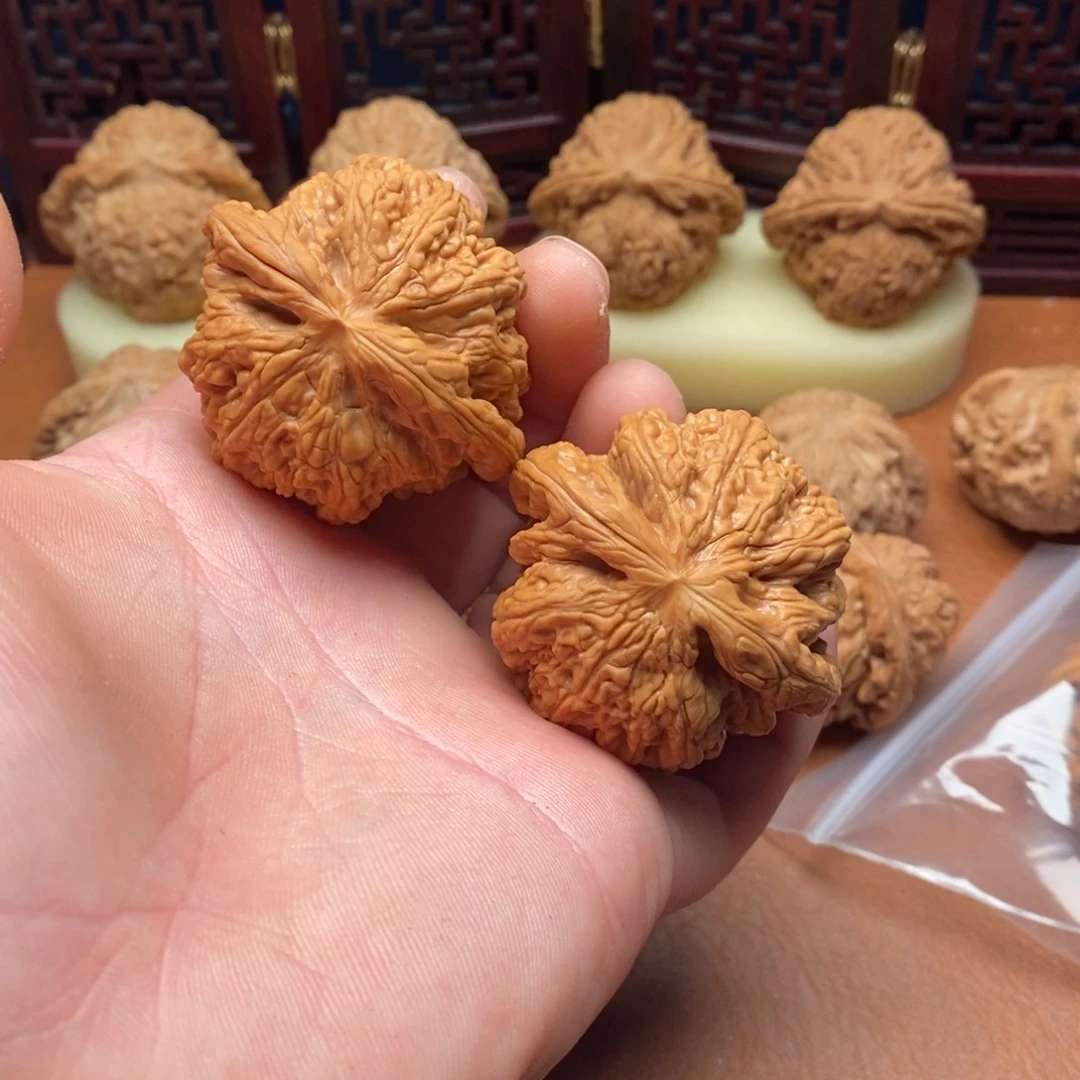 核桃手串/手链用***人大粗筋