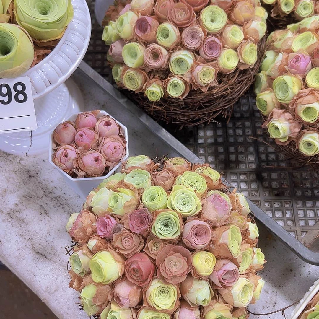 彩巢40颗起坐好发货