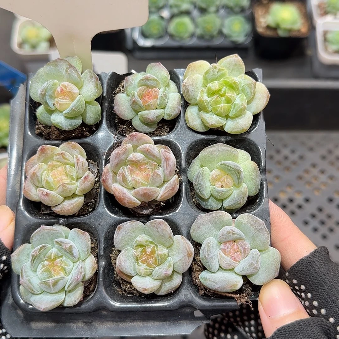 1哈哈哈哈哈哈哈哈哈