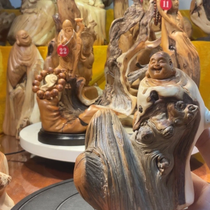 柏木（崖柏）  弥勒