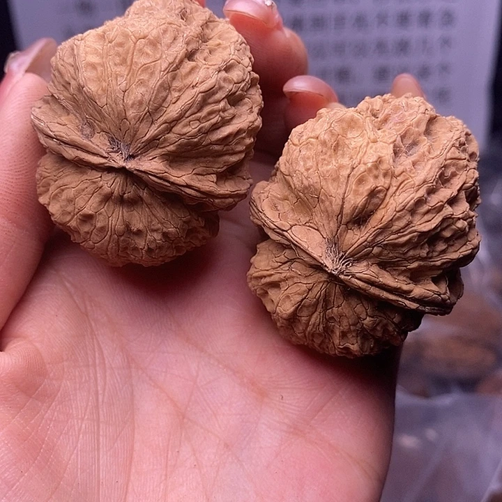 核桃云南野生铁核桃85号45mm