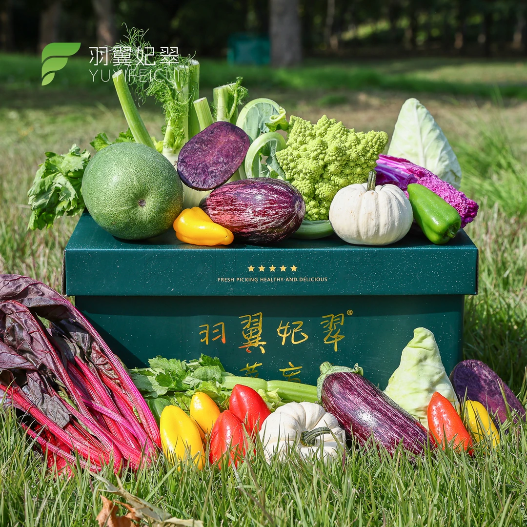 羽翼妃翠蔬菜盲盒10种蔬菜