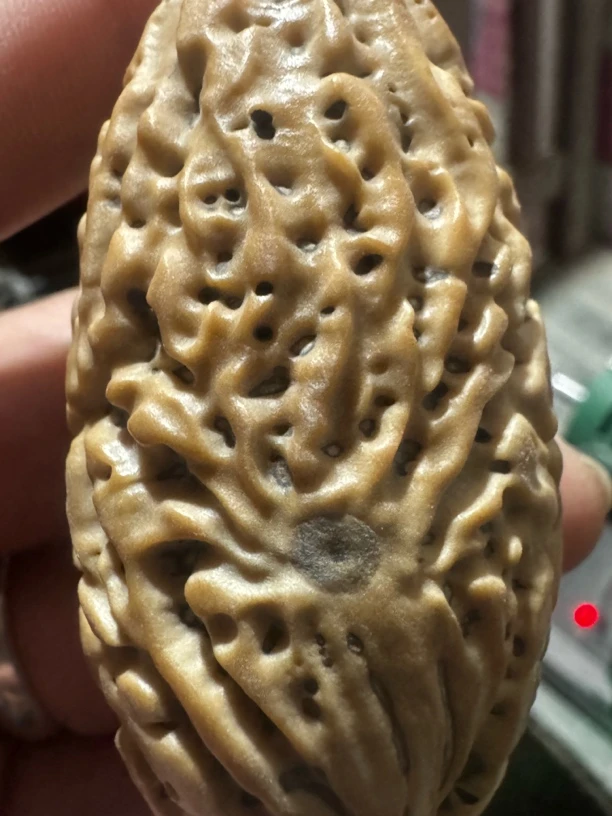 千眼老料刷果直播间选果现场加工手把件手工艺古精美解压菩提果