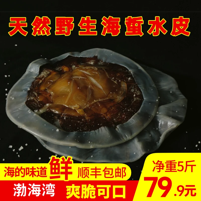 天轩明野生海蜇皮水皮新鲜非即食天然海蜇海鲜美食海蜇海蜇皮
