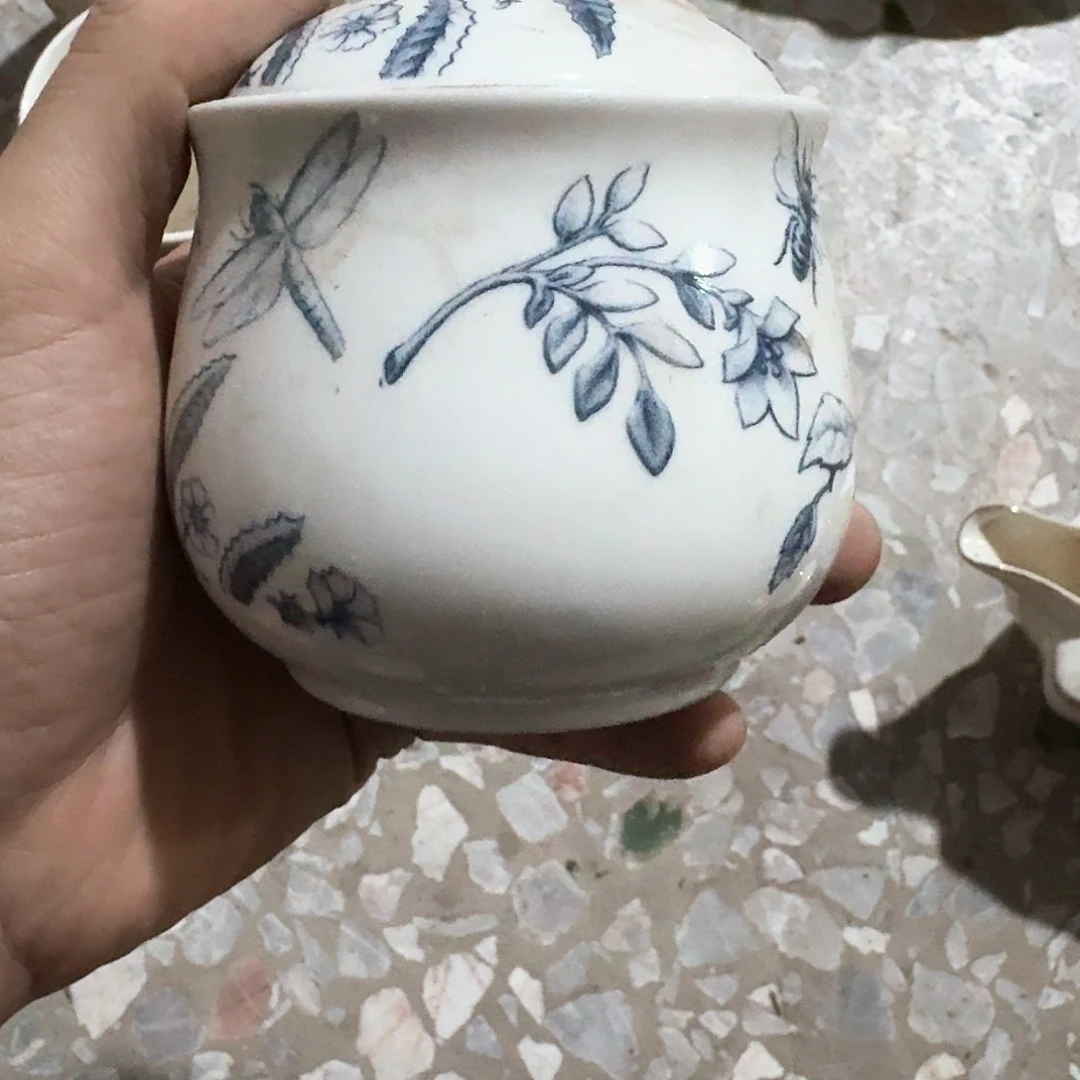 稻谷壳微瑕疵一个