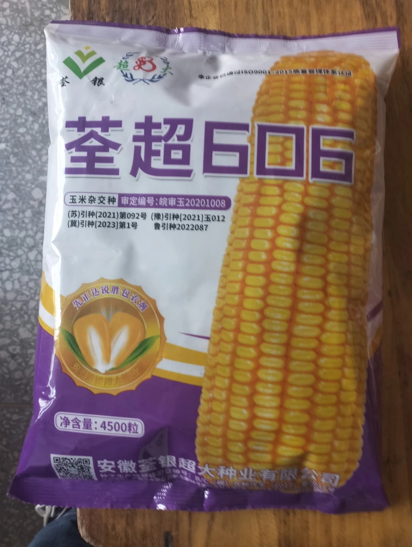 高产玉米种抗旱抗涝耐高温抗倒伏矮杆大棒抗病虫害