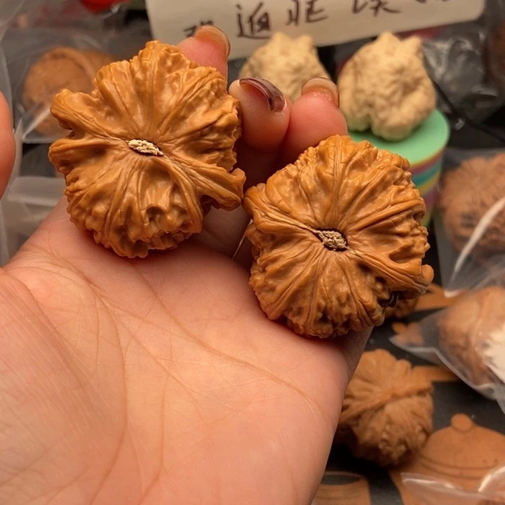 手串/手链核桃坐****上