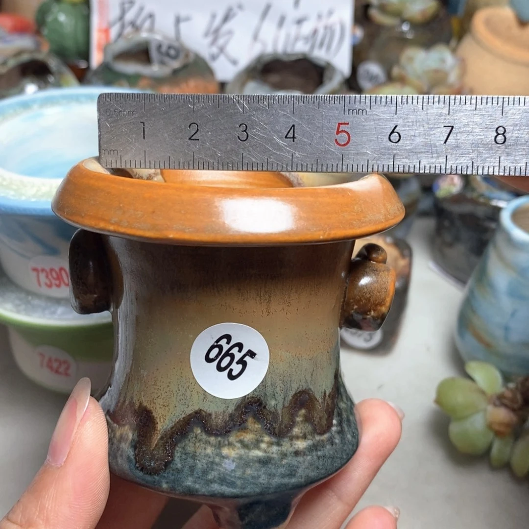 拍5送一个小礼物
