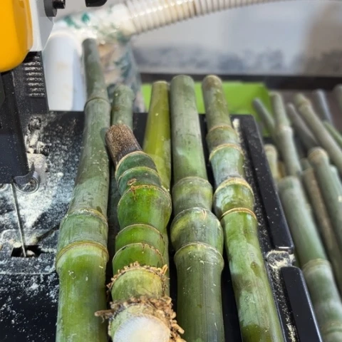 竹1*31竹竹竹竹竹竹竹竹竹