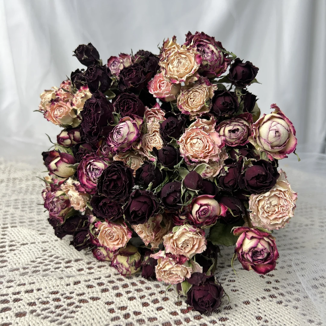 【壹束干花】随机花花一份