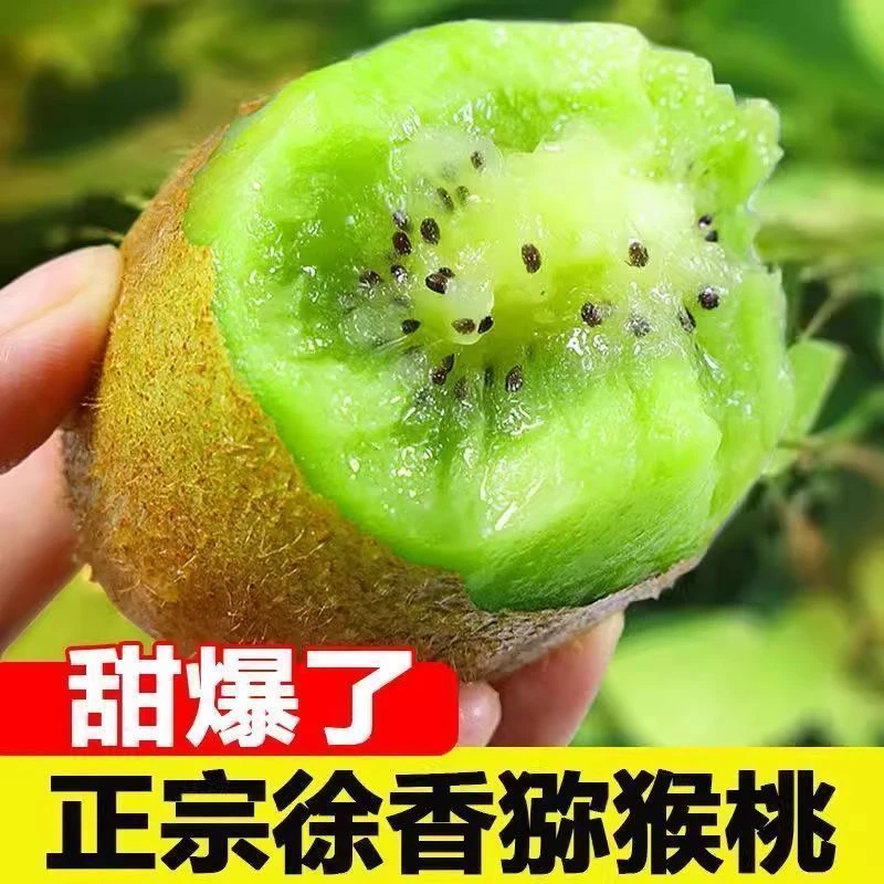周至徐香猕猴桃新鲜奇异果当季现摘水果鲜嫩多汁弥猴桃-8