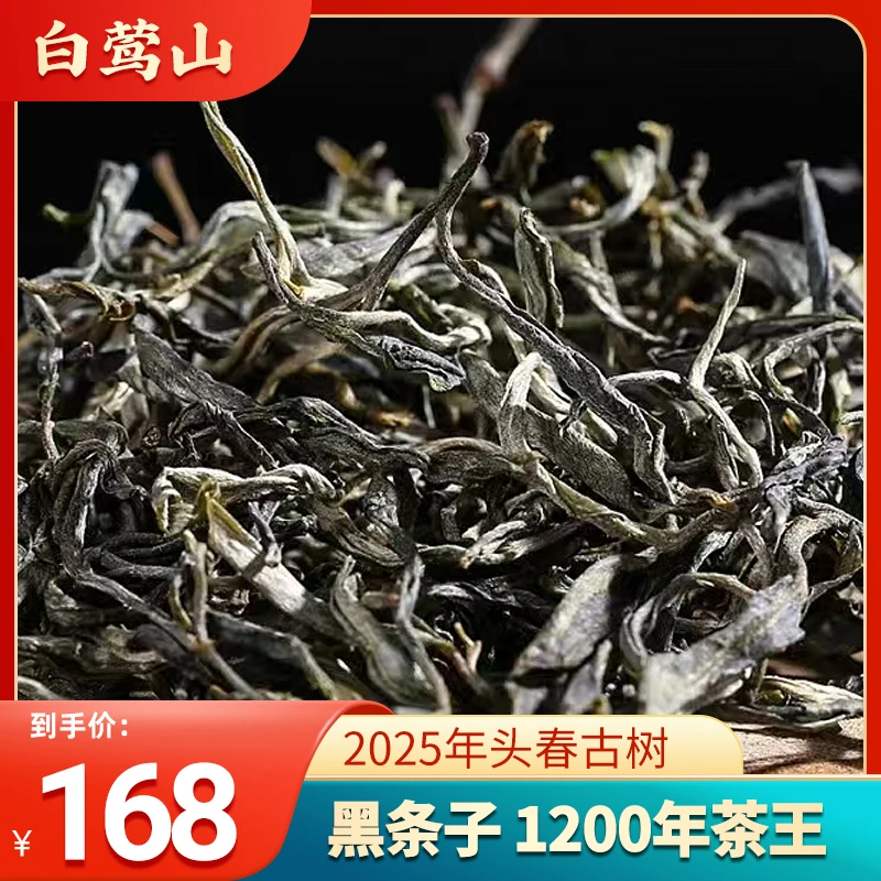 【兄妹- 黑条子大叶种2025年头春1200年茶王】白莺山源头古树普洱茶