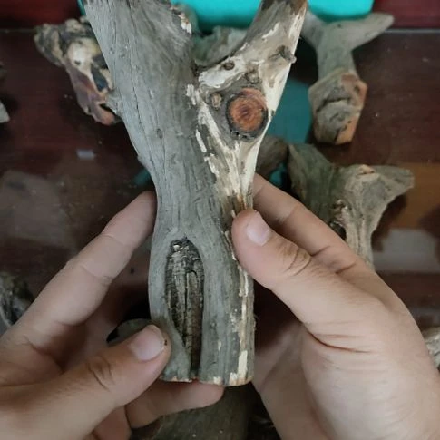 聚***运核桃木/黑胡桃（胡桃木）