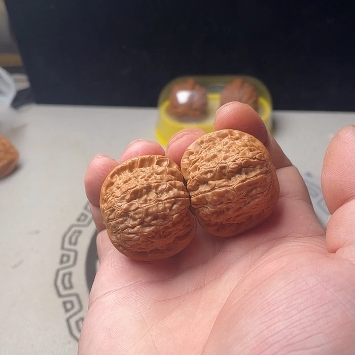 核桃树是世界著名花卉
