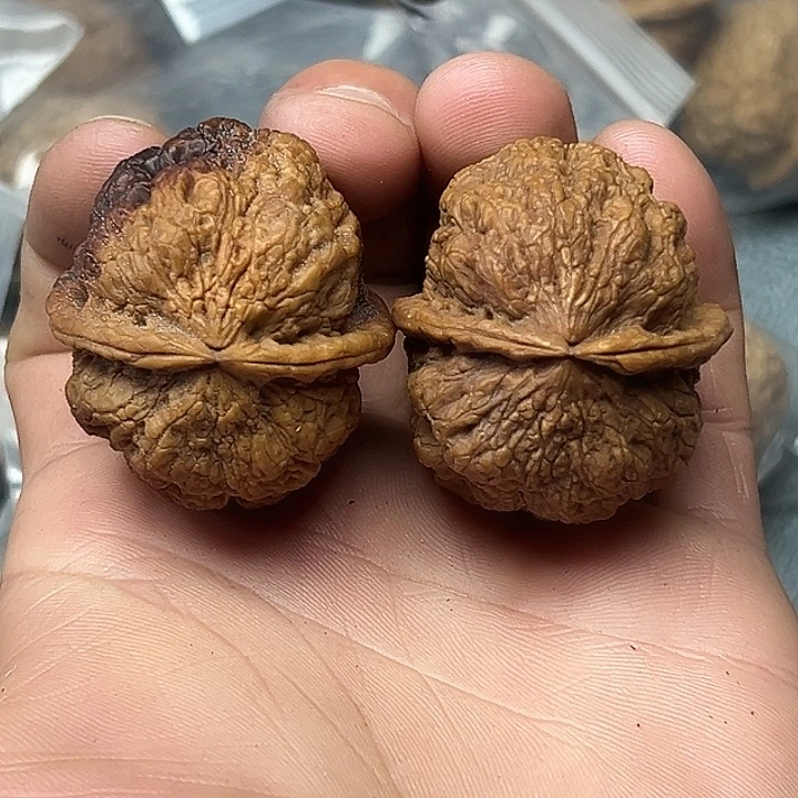 核桃14号金刚佛手42尺