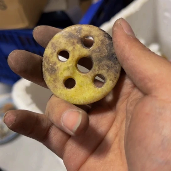 大***子杂色豆（科檀/科特迪瓦檀木）