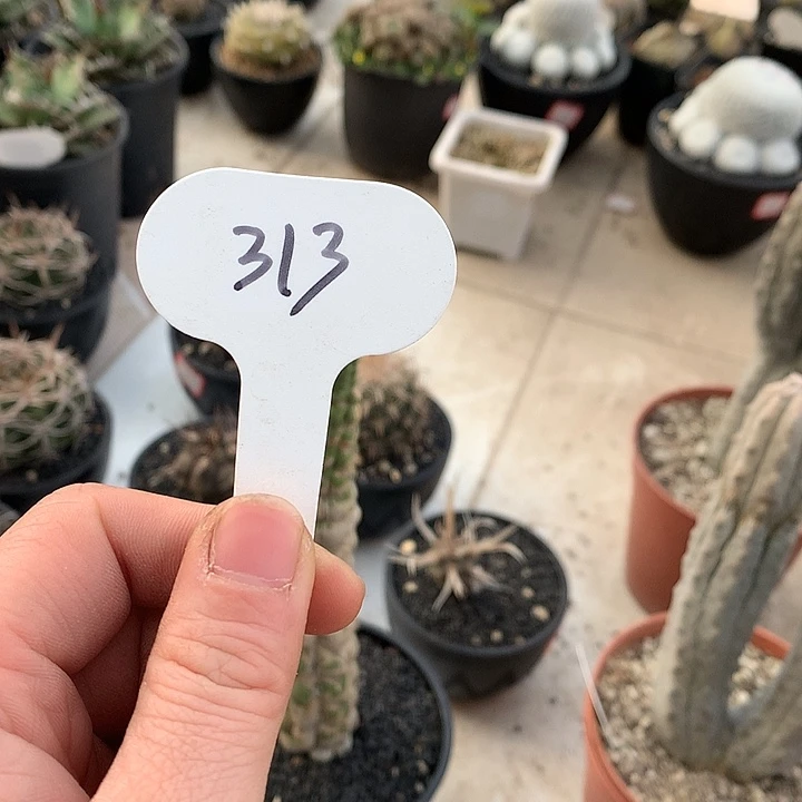 缘**满313专拍1111111111