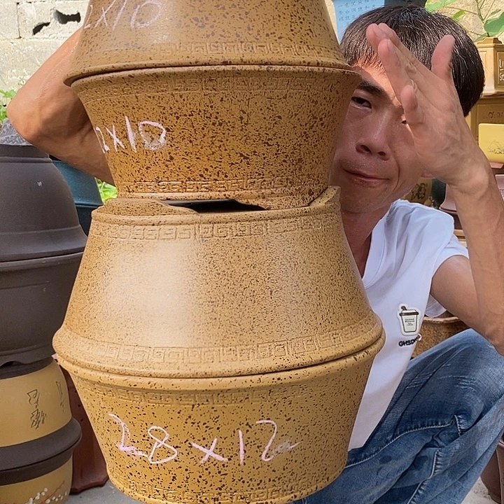紫砂紫砂紫砂紫砂
