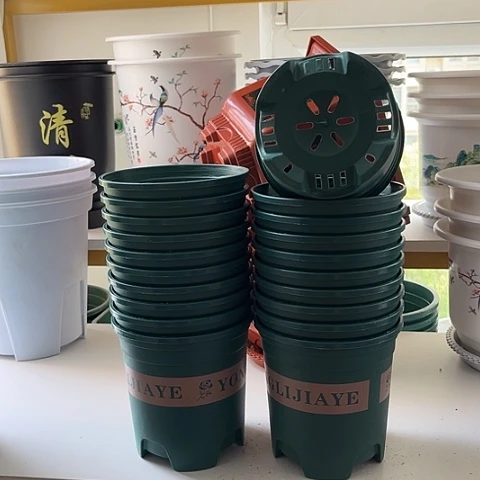 140孔很盆30个带拖盘