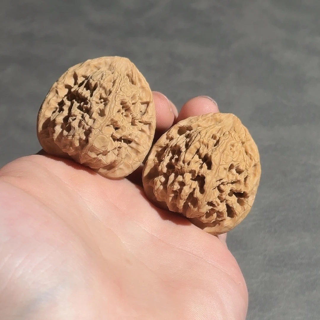 核桃38尺山地一代南疆