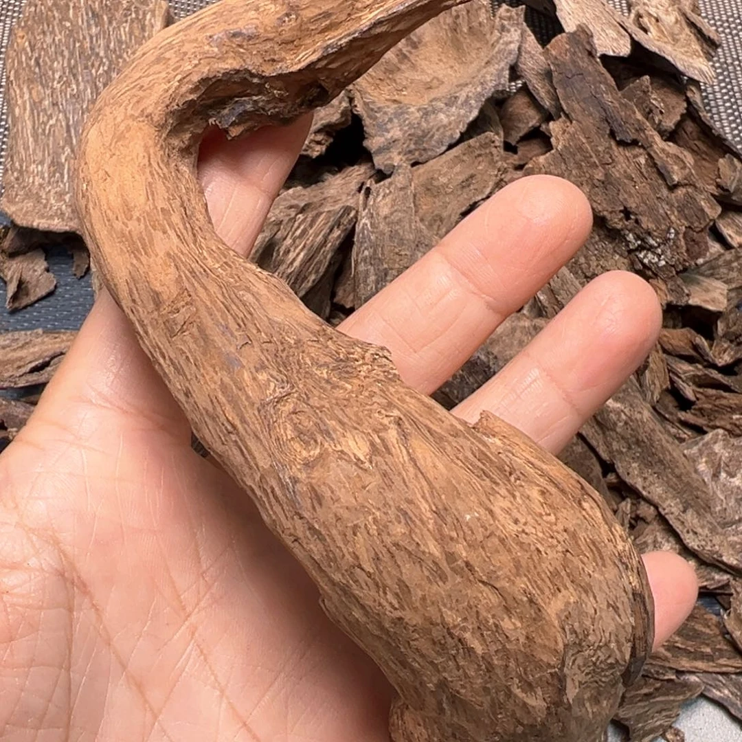 老***记香榧木根部料25克