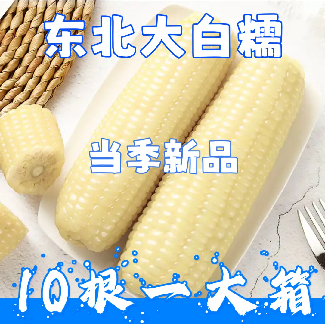 【东北头茬大棒】新鲜甜糯白玉米10根装足重6斤
