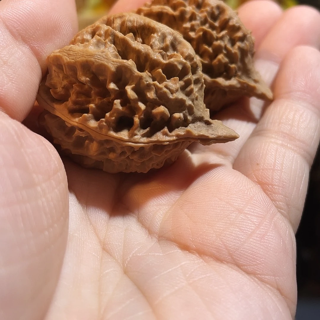 文玩核桃吊坠花龙骨