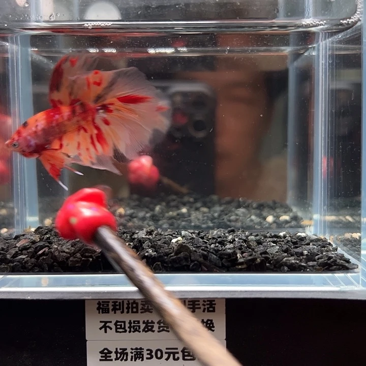斗鱼满30包邮11日120