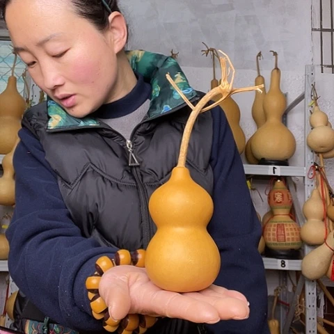 佳*品天然植物葫芦文玩