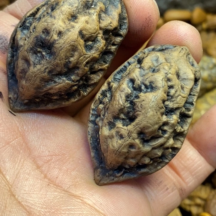 吊坠文玩核桃娜姐140