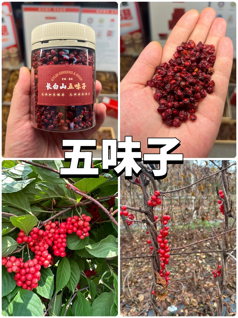 长白山五味子丨吉林集安产区丨成熟度高果味儿浓郁丨无科技无添加
