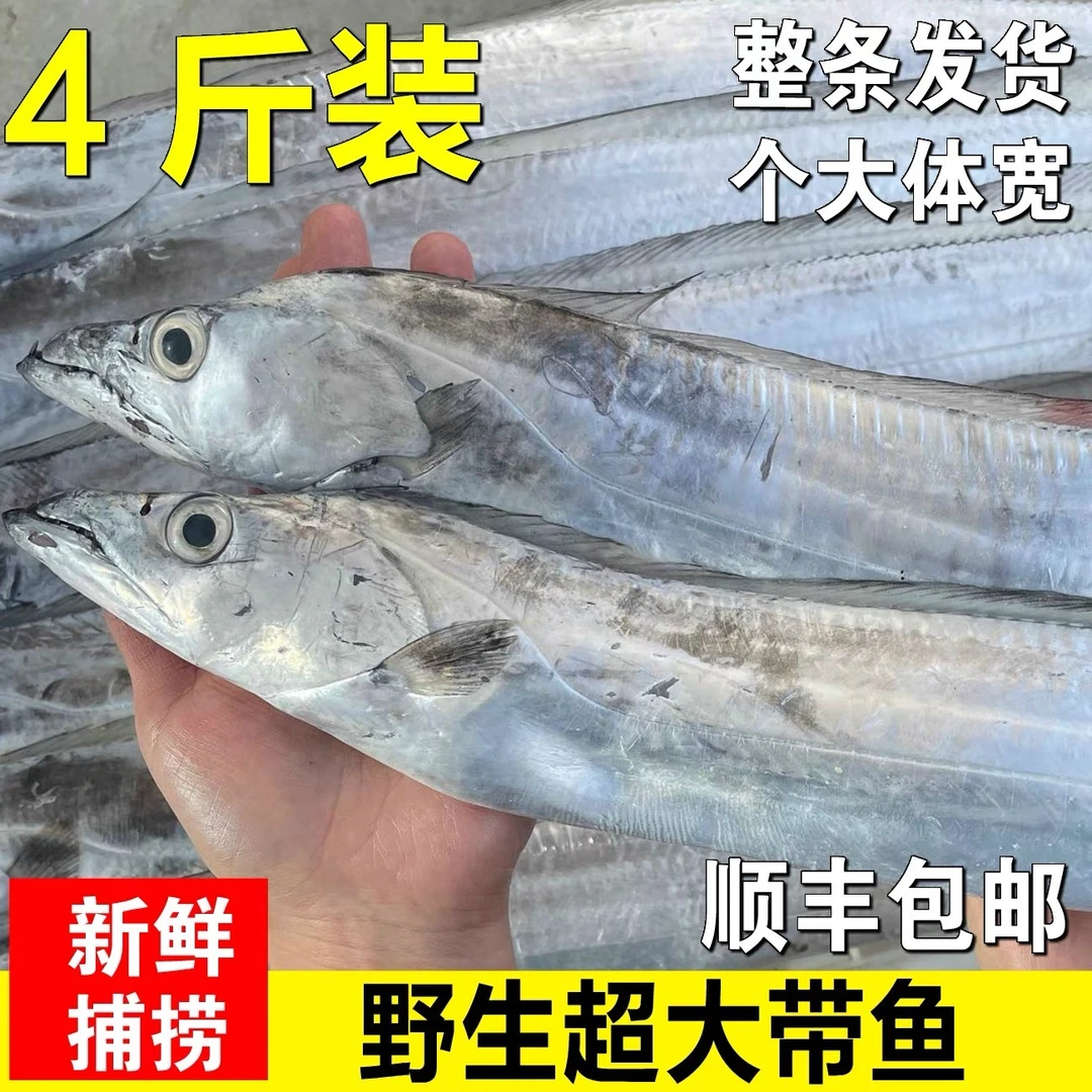 舟山新鲜带鱼海鲜共4斤拍3斤送1斤小眼睛油带鱼6-8规格（4斤5-7条）介意破肚的请勿拍顺丰冷链包邮到家