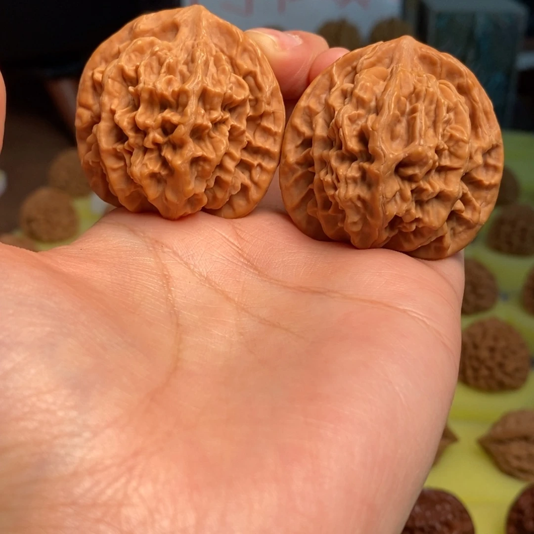 核桃秦岭闷尖狮子头42