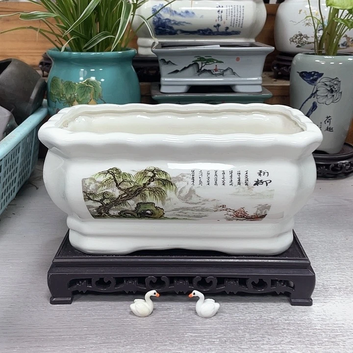 精美花盆抢购福利