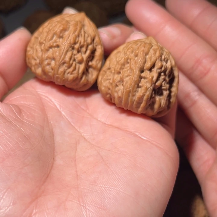 木质类凹底36全品