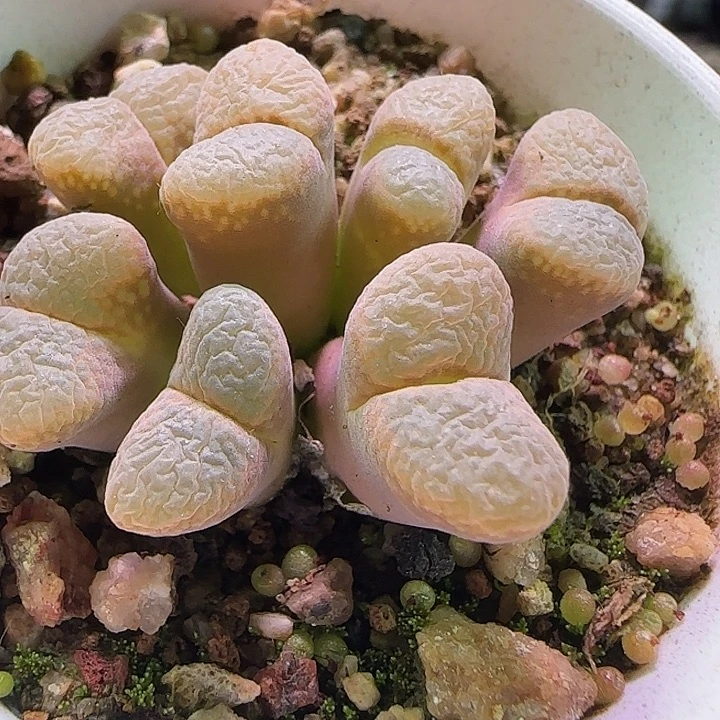 晨***浅哈哈014个哈哈哈哈哈哈