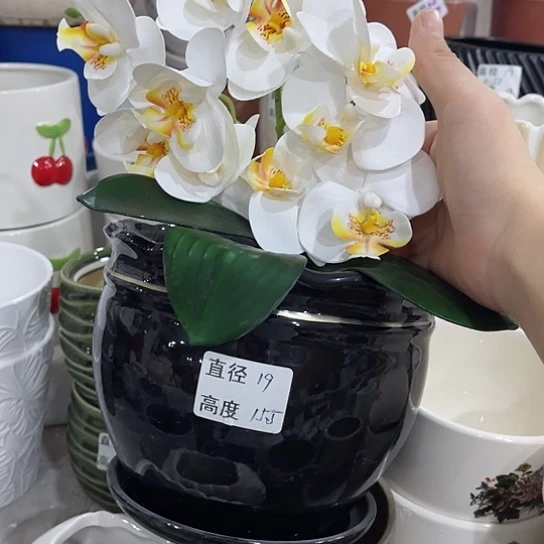 多肉绿植陶瓷花盆9.9包邮，有孔